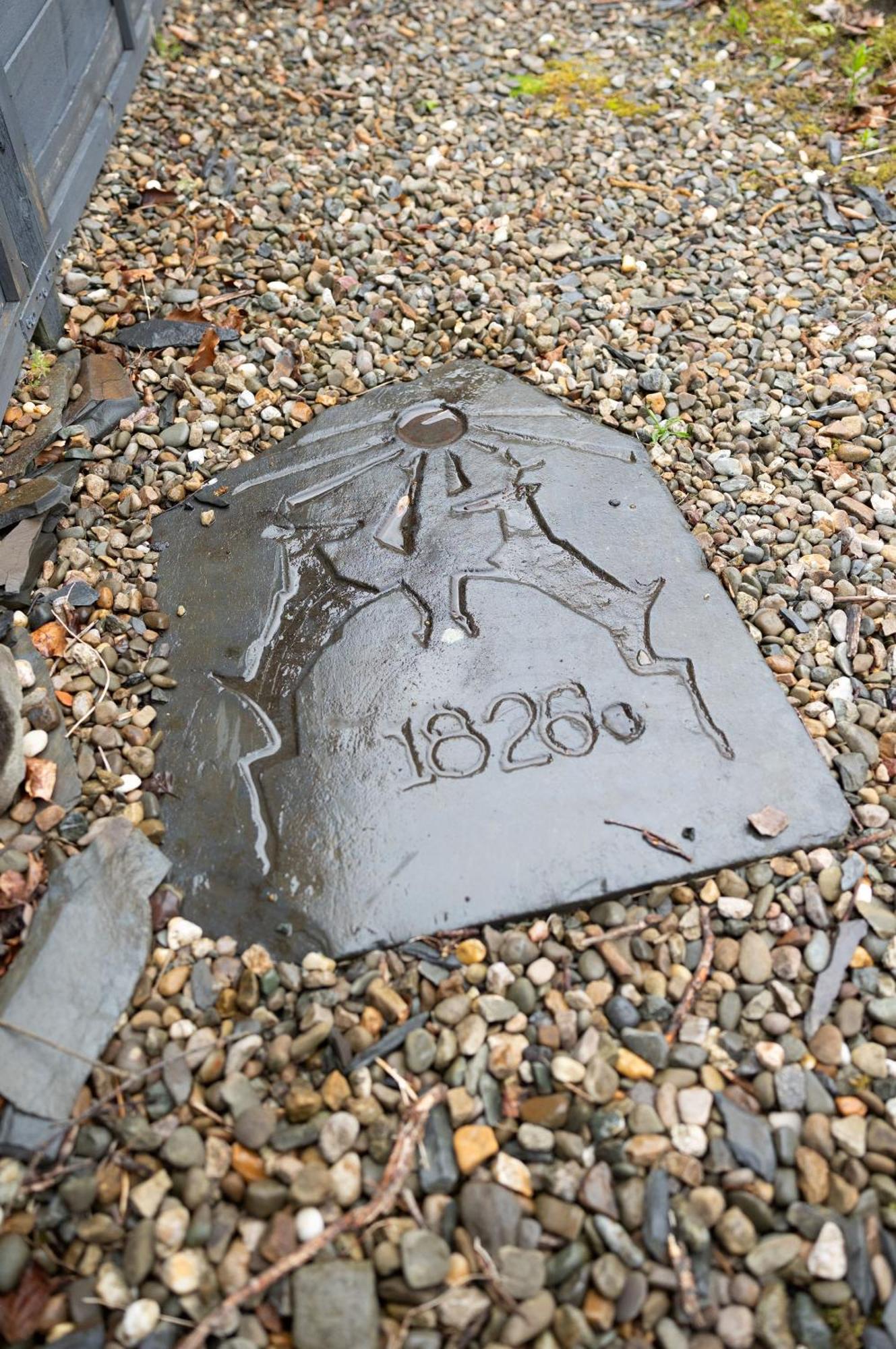 Deer House Villa Machynlleth Exterior foto