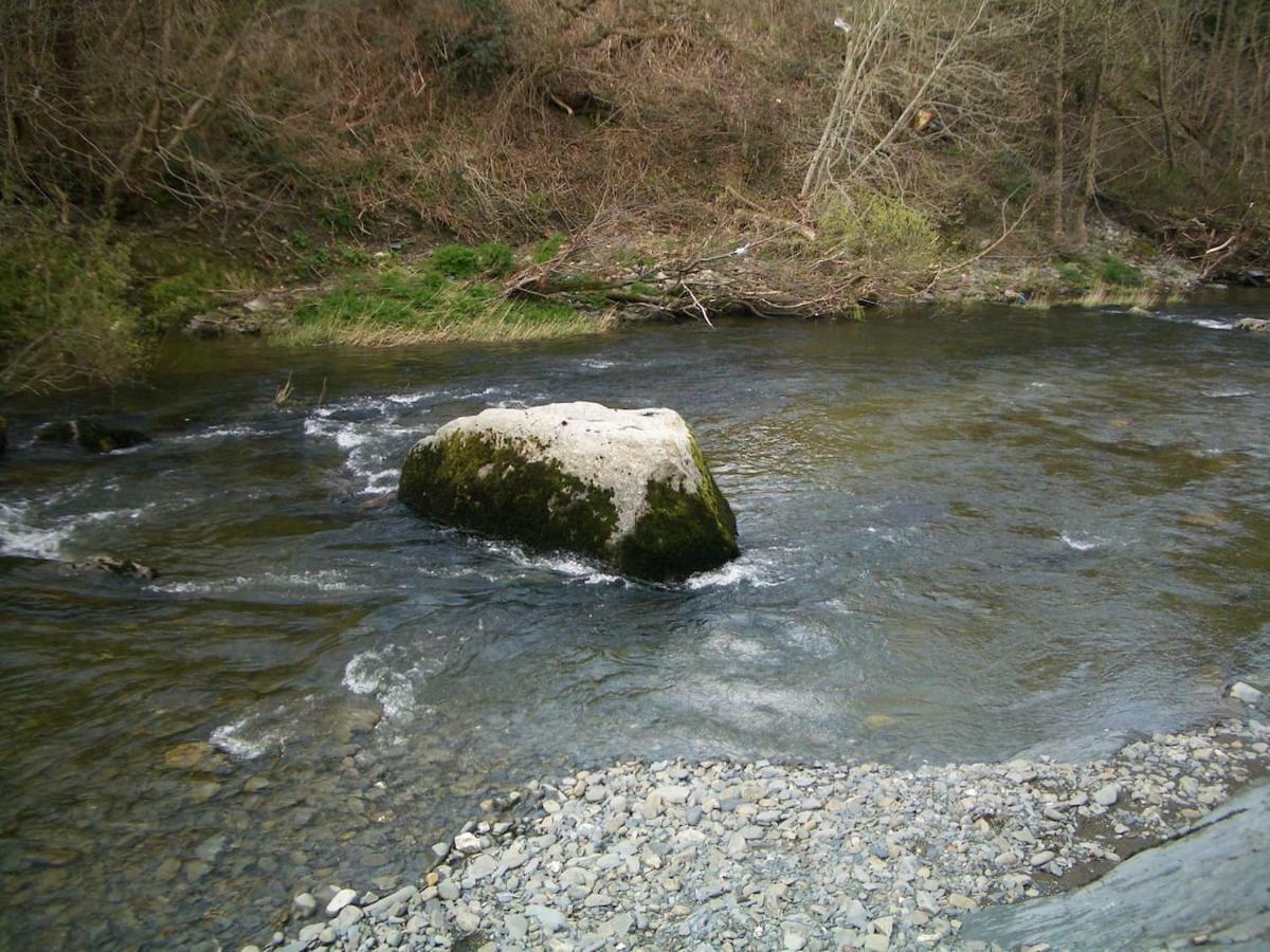 Deer House Villa Machynlleth Exterior foto